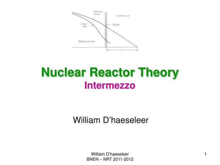 nuclear reactor theory intermezzo