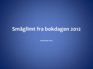 sm glimt fra bokdagen 2012