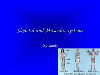 Skeletal and Muscular systems