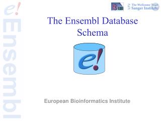 The Ensembl Database Schema