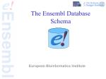 The Ensembl Database Schema