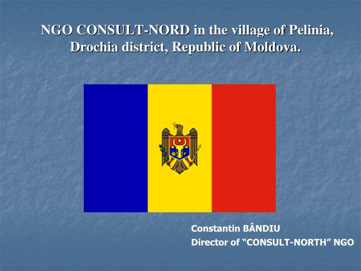 ngo consult nord in the village of pelinia drochia district republic of moldova