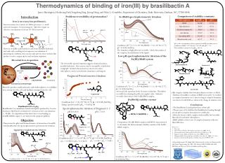 Thermodynamics of binding of iron(III) by brasilibactin A