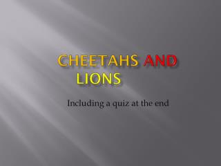 Cheetahs and lions