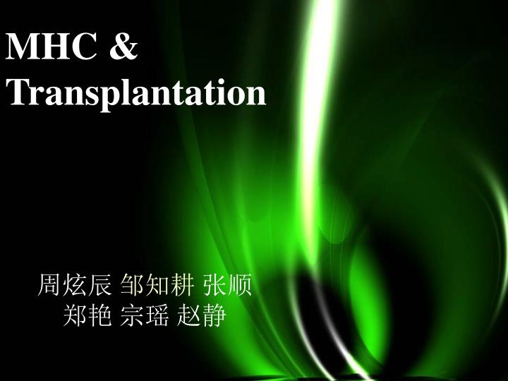 mhc and transplantation