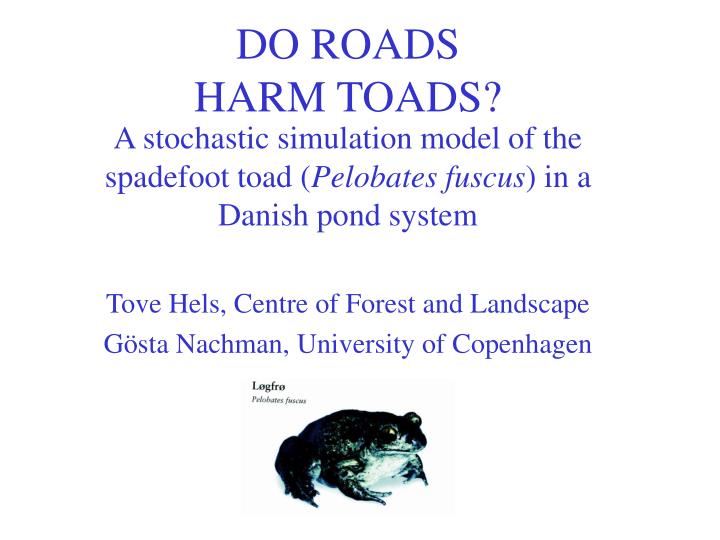 do roads harm toads