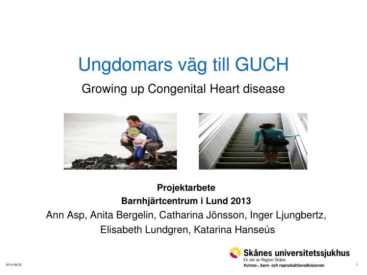 ungdomars v g till guch growing up congenital heart disease