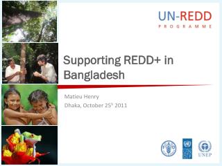 Supporting REDD+ in Bangladesh