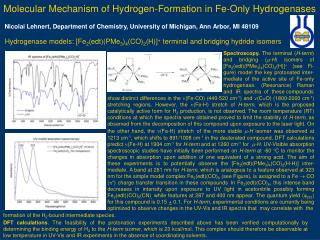 Molecular Mechanism of Hydrogen-Formation in Fe-Only Hydrogenases