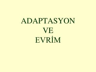 adaptasyon ve evr m