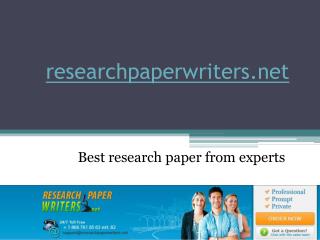 Professional Research Paper Writers