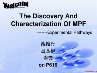 The Discovery And Characterization Of MPF -------Experimental Pathways