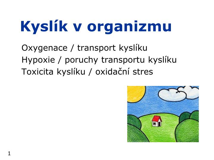 oxygenace transport kysl ku hypoxie poruchy transportu kysl ku toxicita kysl ku oxida n stres