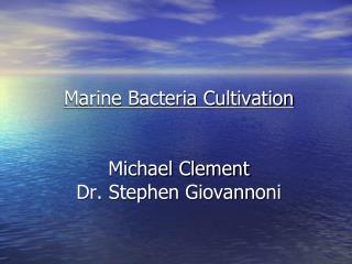 Marine Bacteria Cultivation Michael Clement Dr. Stephen Giovannoni