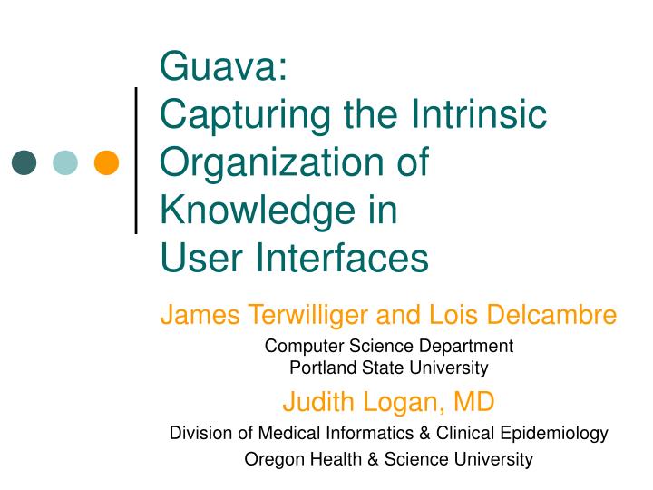 guava capturing the intrinsic organization of knowledge in user interfaces