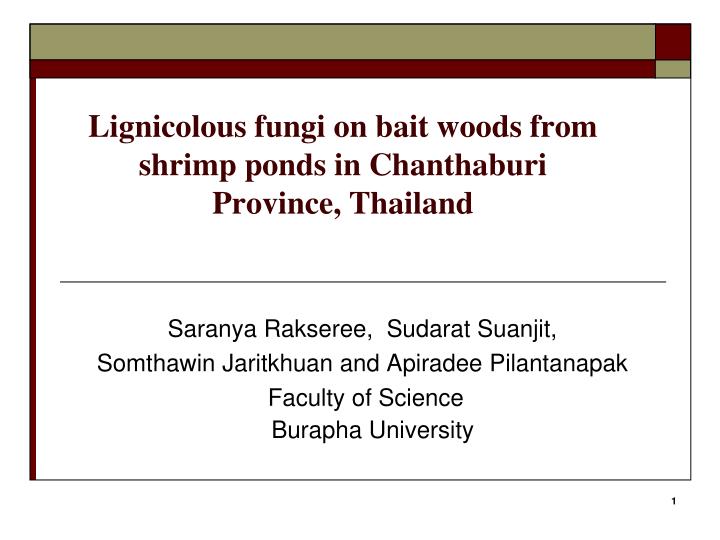 lignicolous fungi on bait woods from shrimp ponds in chanthaburi province thailand