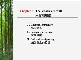 ?. Chemical structure ???? ?. Layering structure ???? ?. Cell wall sculpturing ???????