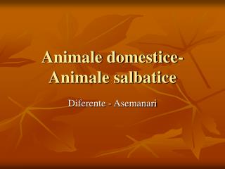 Animale domestice- Animale salbatice