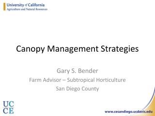 Canopy Management Strategies