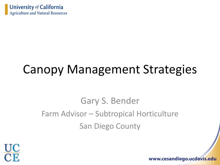 canopy management strategies