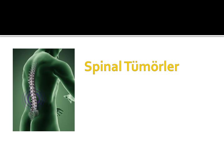 spinal t m rler