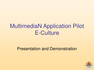 MultimediaN Application Pilot E-Culture