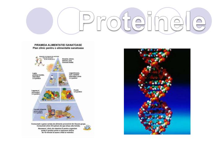 proteinele