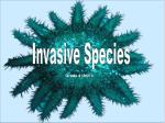 PPT - Invasive Species PowerPoint Presentation, Free Download - ID:112059