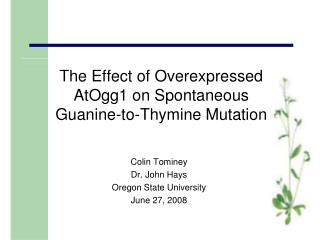 The Effect of Overexpressed AtOgg1 on Spontaneous Guanine-to-Thymine Mutation