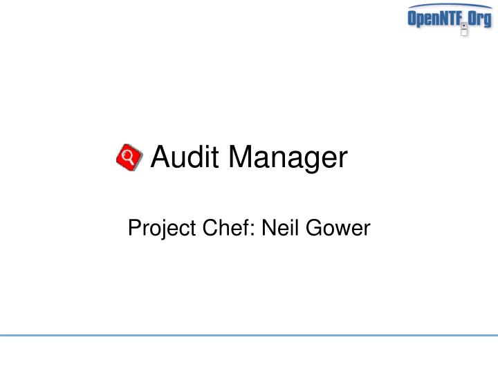 audit manager