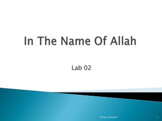 In The Name Of Allah