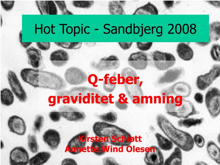 hot topic sandbjerg 2008