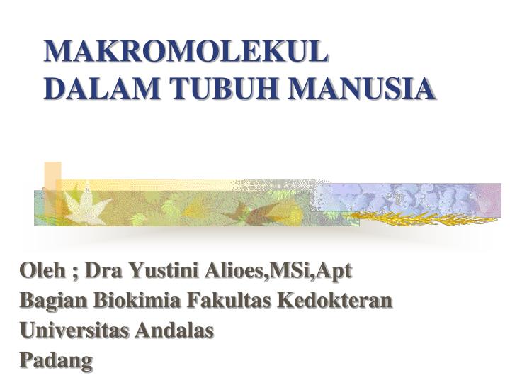 makromolekul dalam tubuh manusia