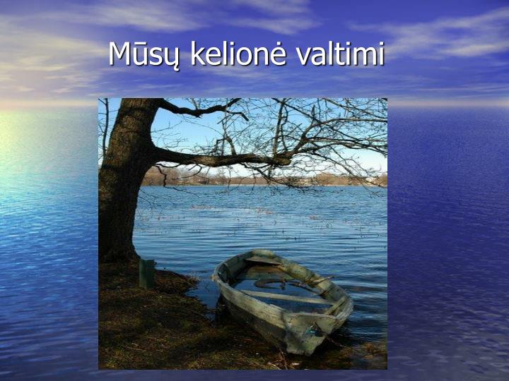 m s kelion valtimi