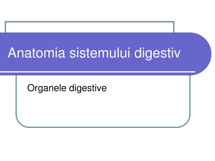 anatomia sistemului digestiv
