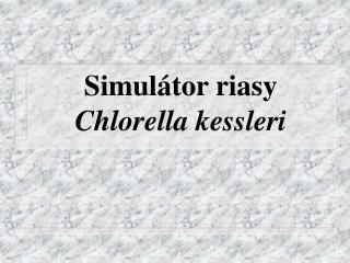 Simulátor riasy Chlorella kessleri