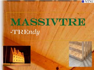 massivtre tre ndy