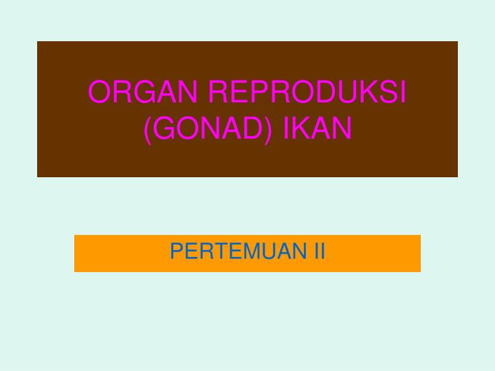organ reproduksi gonad ikan