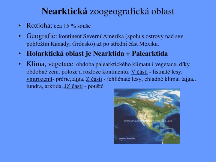 nearktick zoogeografick oblast