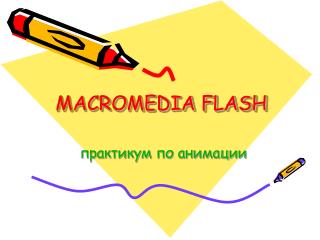 macromedia flash