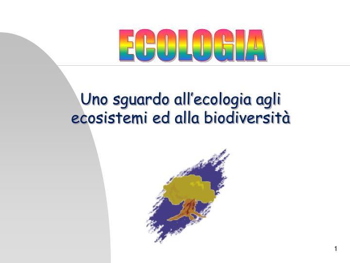 uno sguardo all ecologia agli ecosistemi ed alla biodiversit