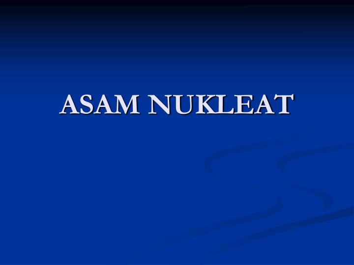 asam nukleat