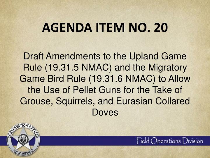 agenda item no 20