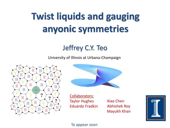 twist liquids and gauging anyonic symmetries