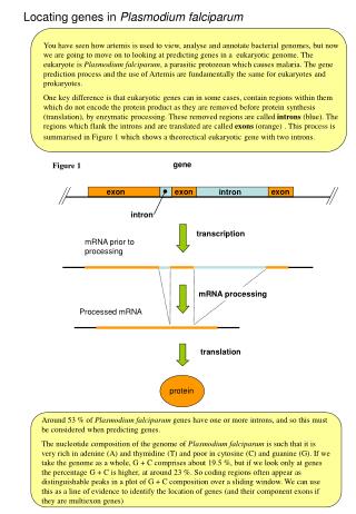 Locating genes in Plasmodium falciparum