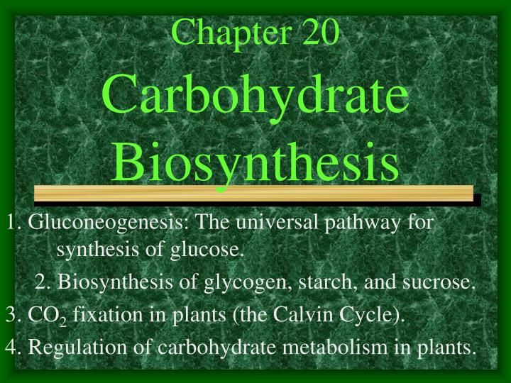 chapter 20 carbohydrate biosynthesis