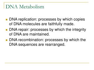 DNA Metabolism