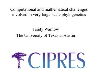 Computational and mathematical challenges involved in very large-scale phylogenetics