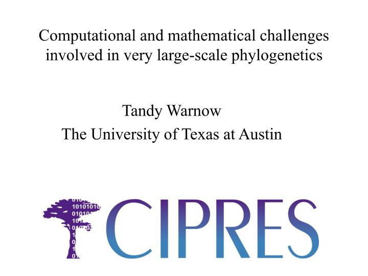 computational and mathematical challenges involved in very large scale phylogenetics