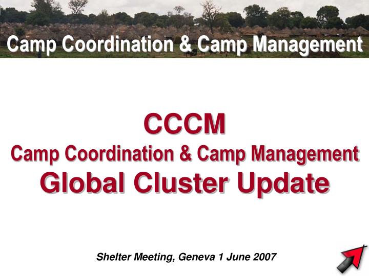 cccm camp coordination camp management global cluster update